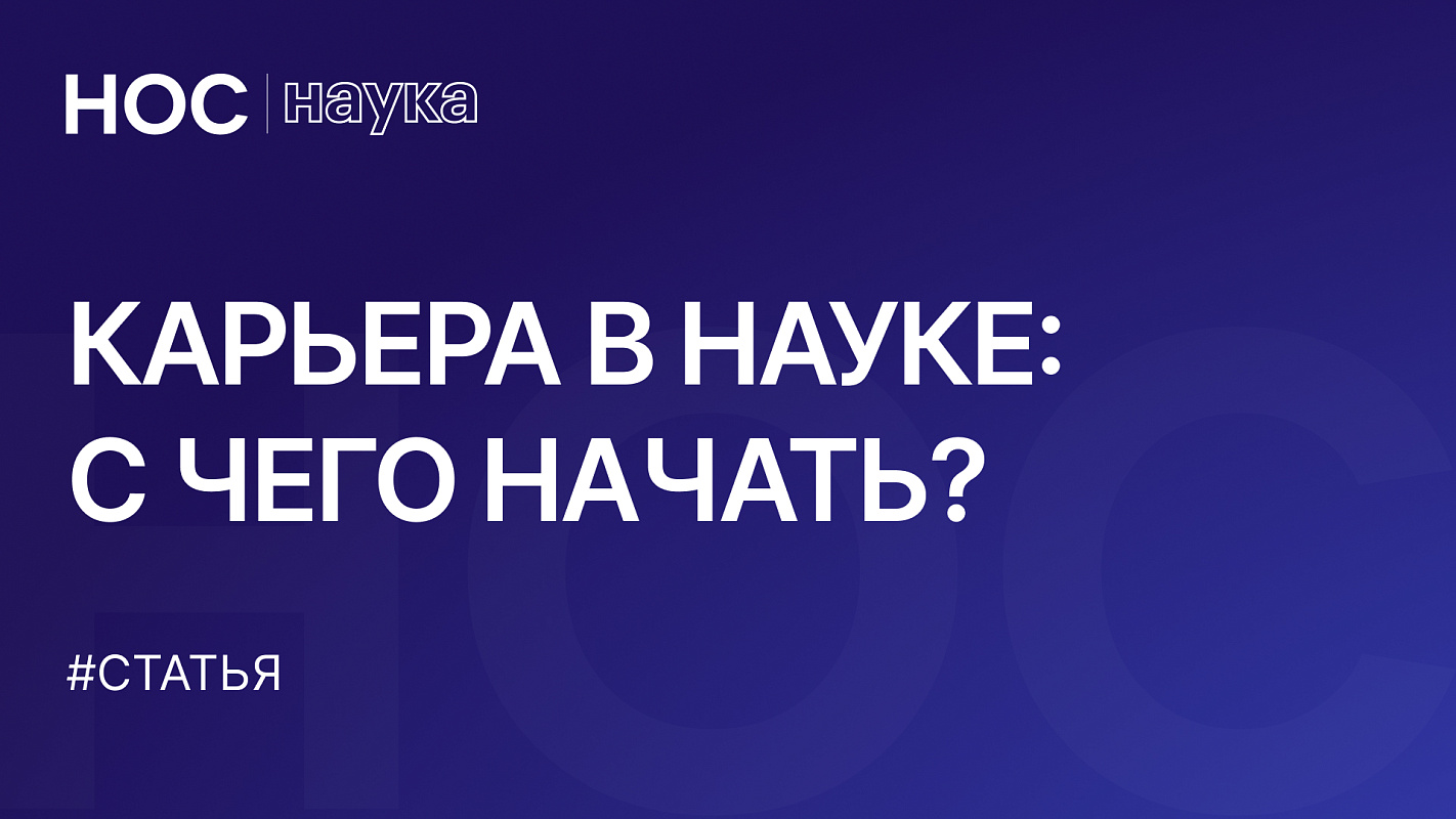 Описание изображения
